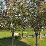 Large Galway On Edge Of With Superb Garden Willa Castlegar