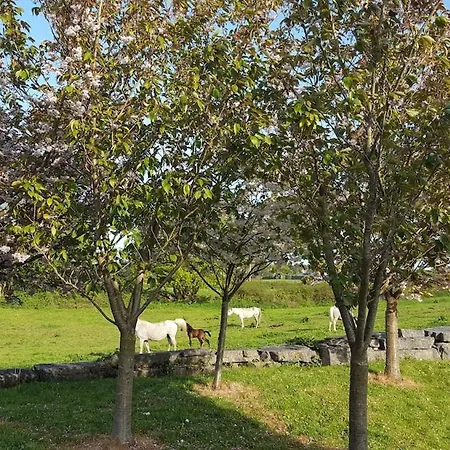 Large Galway On Edge Of With Superb Garden Villa Castlegar