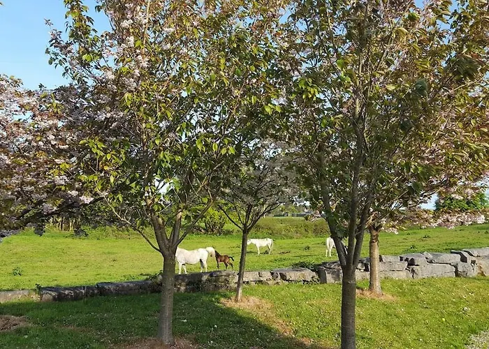 Large Galway On Edge Of With Superb Garden فيلة Castlegar